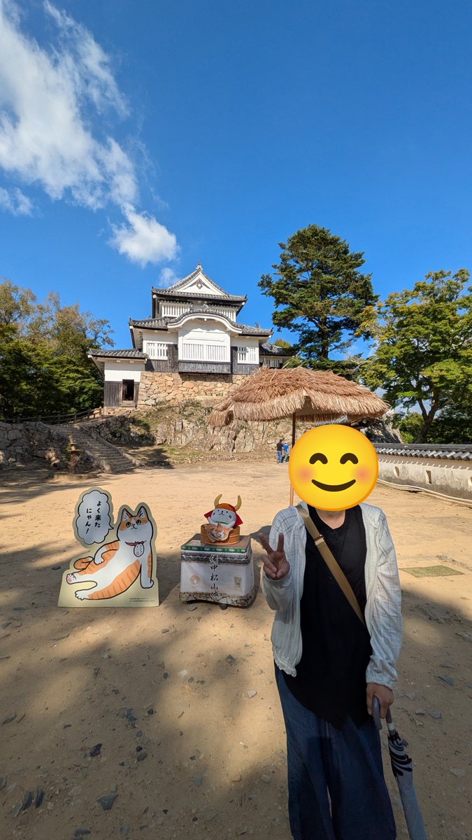Shirley_Temple_'s tweet photo. 100名城　33城目　備中松山城

駐車場からシャトルバスに乗るのですが、そこから700メートル徒歩で登って行きます。娘はすいすい登って行くのですが、私は体力がないので、疲れ果てました。猫城主さんじゅーろーという猫がいて出迎えてくれます。 https://t.co/XbFunDgCmN