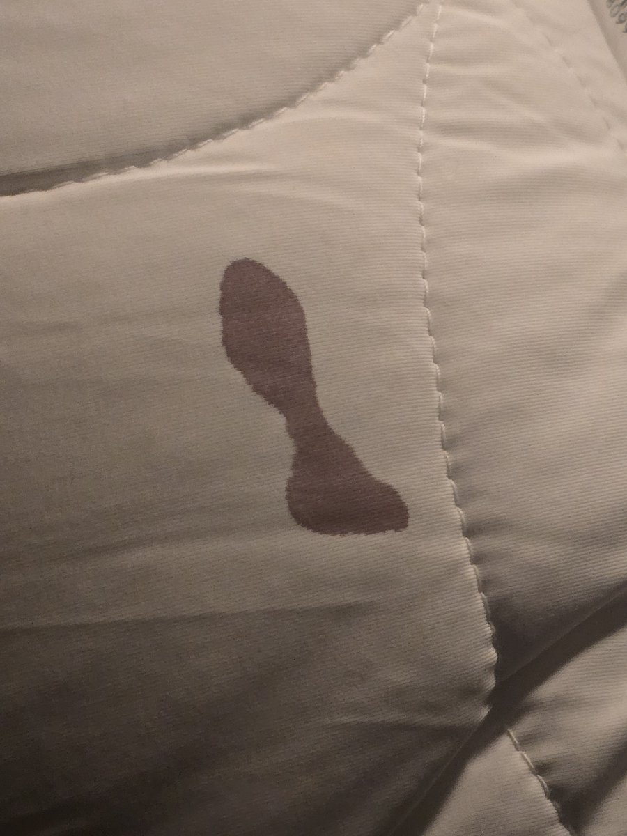 Pyro_duh's tweet photo. I got blood on my favorite hoodie, pillow, and jeans. I'll cry but one looks like a paw n the other one looks like a butt plug so it's ok https://t.co/EakUzWsXRT