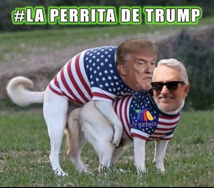LuisChv38810665's tweet photo. @manuelanorve Chingas a tu puta madre pinche enano
alias #TeleTubi https://t.co/TbovwdsjMm