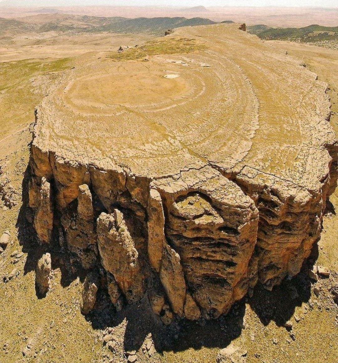 TheDoctorRegen's tweet photo. You can even see the rings on this giant petrified trees stump in northwestern Tunisia. https://t.co/TIpDlquLZg