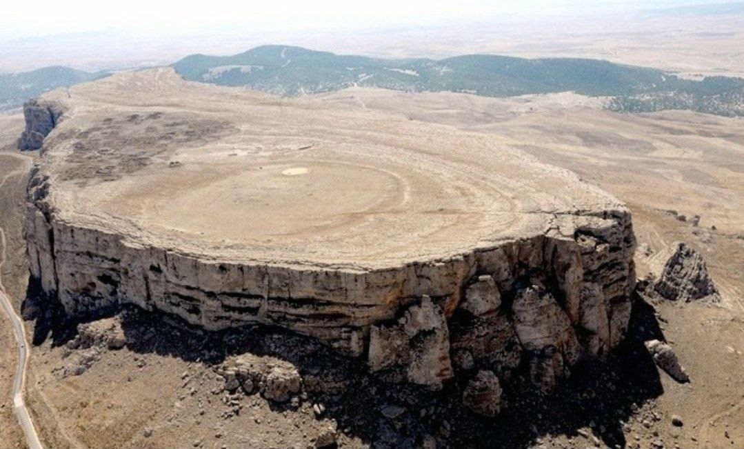 TheDoctorRegen's tweet photo. You can even see the rings on this giant petrified trees stump in northwestern Tunisia. https://t.co/TIpDlquLZg
