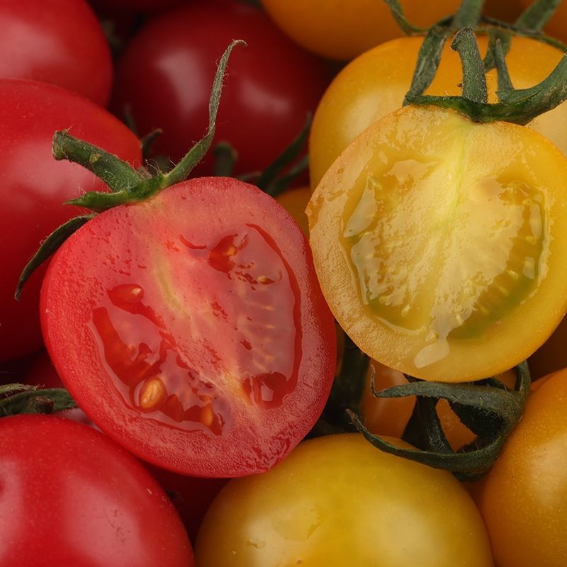 RosieSoard's tweet photo. [Tried cherry tomatoes from a local farm tonight—burst with natural sweetness, zero bland aftertaste, perfect for summer salads. 10/10 would stock up! ]， https://t.co/0iIiErxCKP