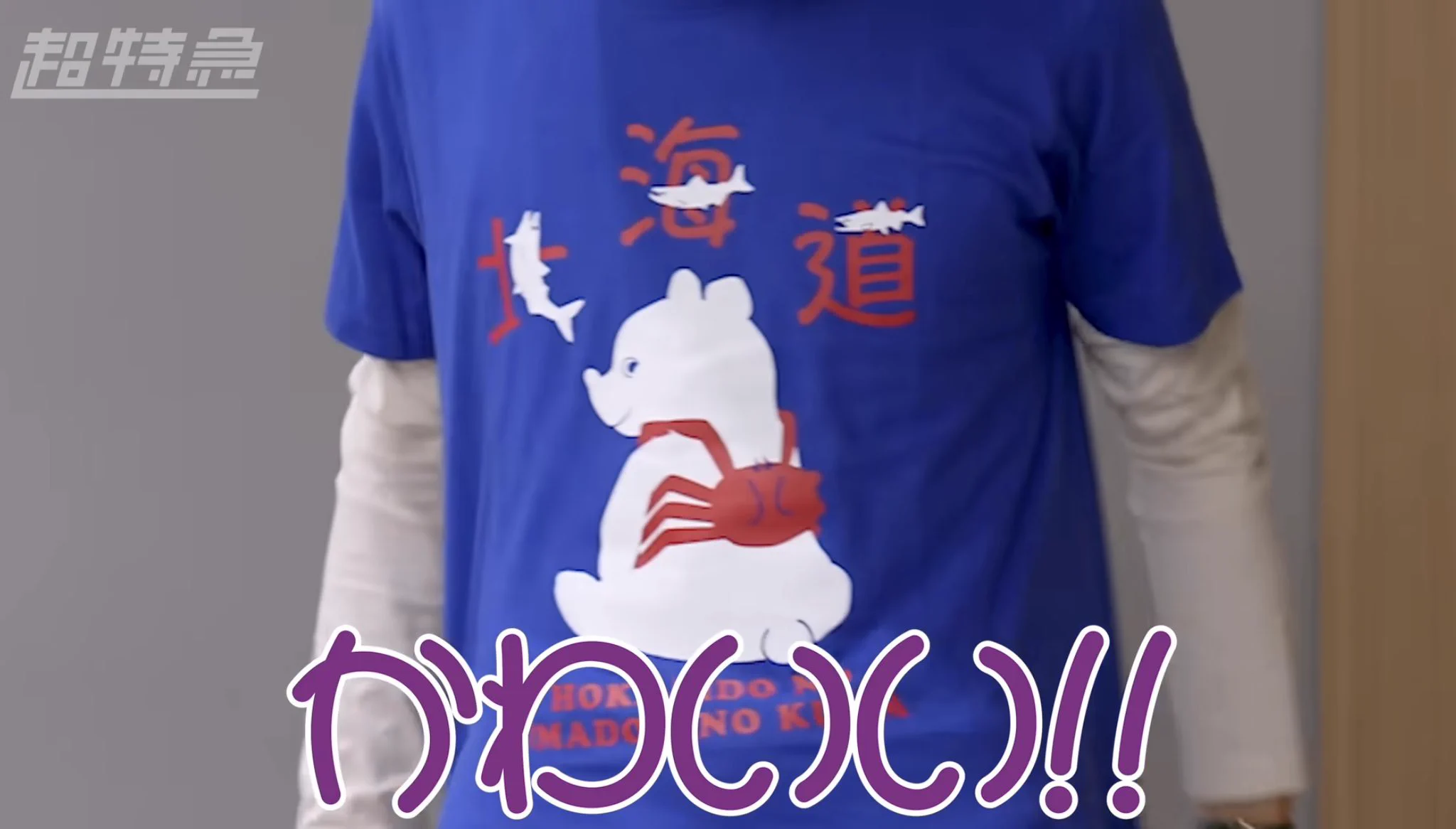 かめちゃん on X: 