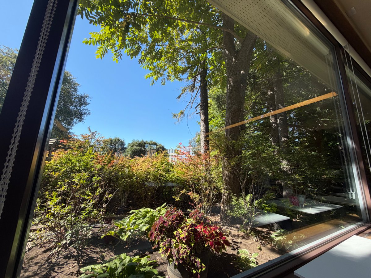 Cu_apple's tweet photo. 札幌の日常で30分でも時間が取れる人は全員六花亭の喫茶室に行って欲しい
（北大エルム店、札幌北店は割と空いてい���穴場） https://t.co/nYgugInwuW
