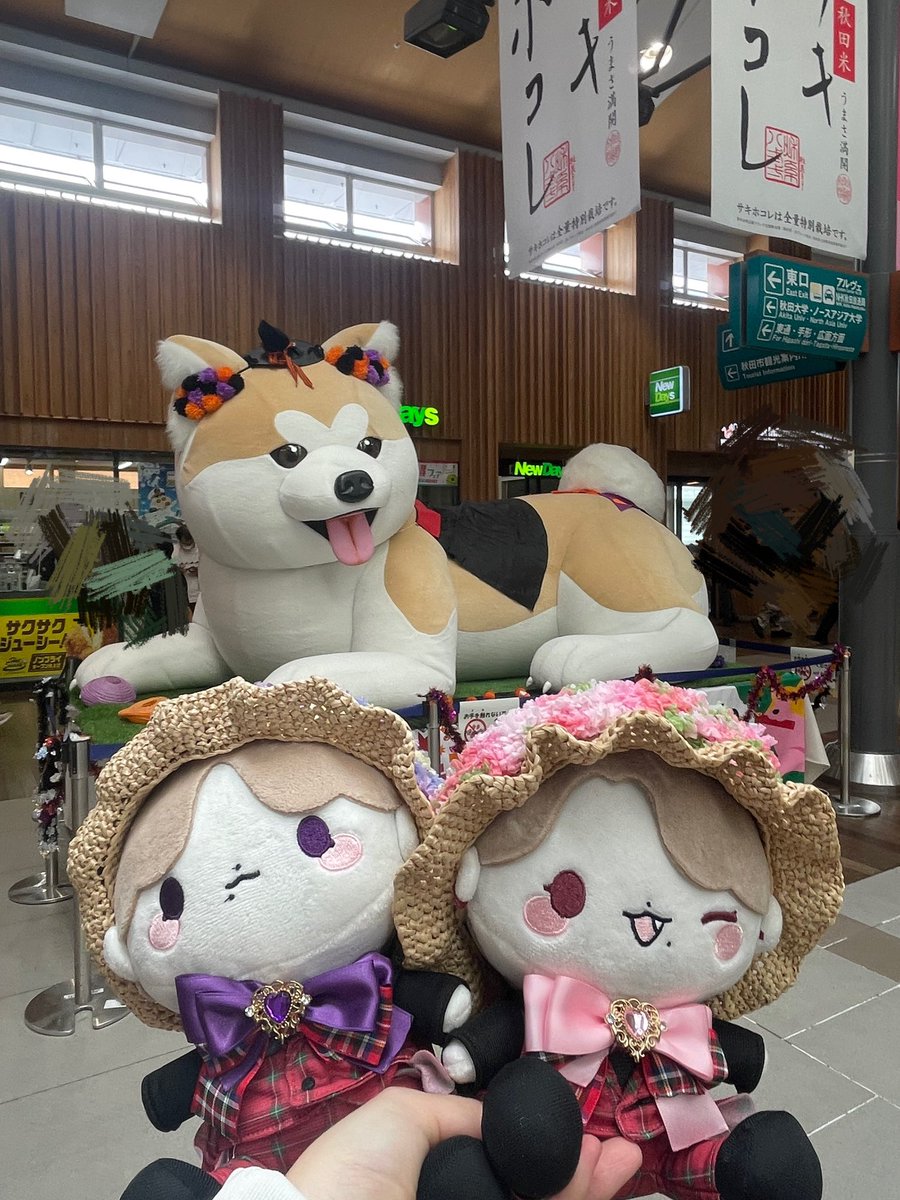 asche_m_a's tweet photo. 帰るよー！楽しかったねぇー！！！
実はいた、綿の命たち。

の「アキタイヌかわええ」
と「なまはげこわい」
ア「ええ子にしてたらなんもない」
ク「みんな悪い子ッ！」
ア「やめーや！！！」 https://t.co/95W13a5mWd