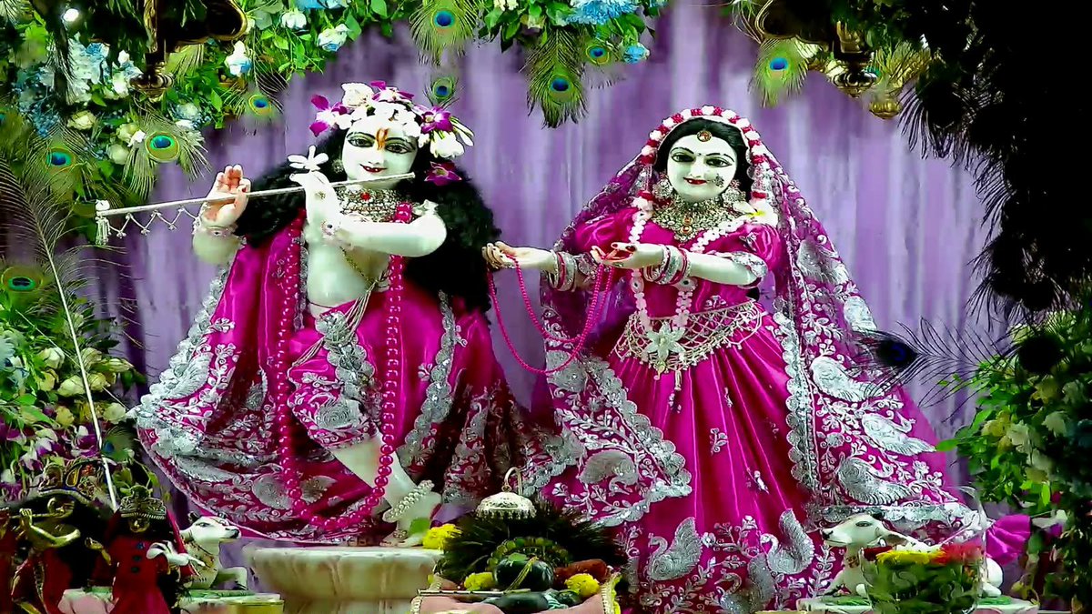 Iskcon_vvn's tweet photo. —❀꧁𝐻𝑎𝑟𝑒 𝐾𝑟𝑖𝑠ℎ𝑛𝑎꧂❀—
🌿🛕Mangla Darshan🛕🌿
—❀꧁23-09-2026꧂❀—
🌹 Sri Sri Radha Giridhariji🌹 
🌷ISKCON VVN Anand🌷
—❀꧁𝐻𝑎𝑟𝑒 𝐾𝑟𝑖𝑠ℎ𝑛𝑎꧂❀— https://t.co/XrGfH2PweA