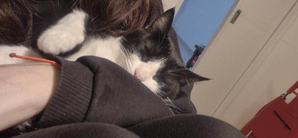 emolialol's tweet photo. @Paolastrev Nena
Nenita
Bonita
Monita
Mona https://t.co/4GieRkahsX