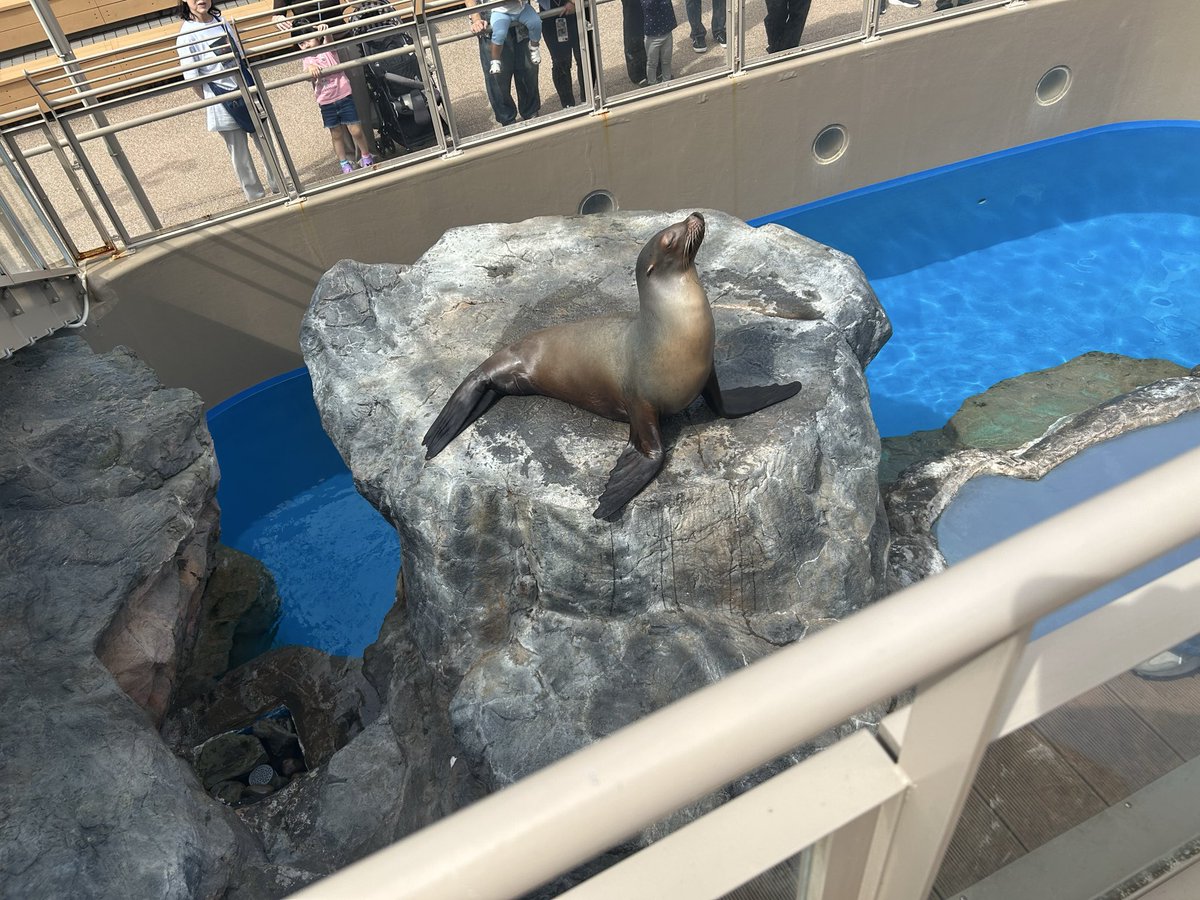Mirokunari's tweet photo. 大洗水族館きた！！！！！ https://t.co/osfPvCeyjR