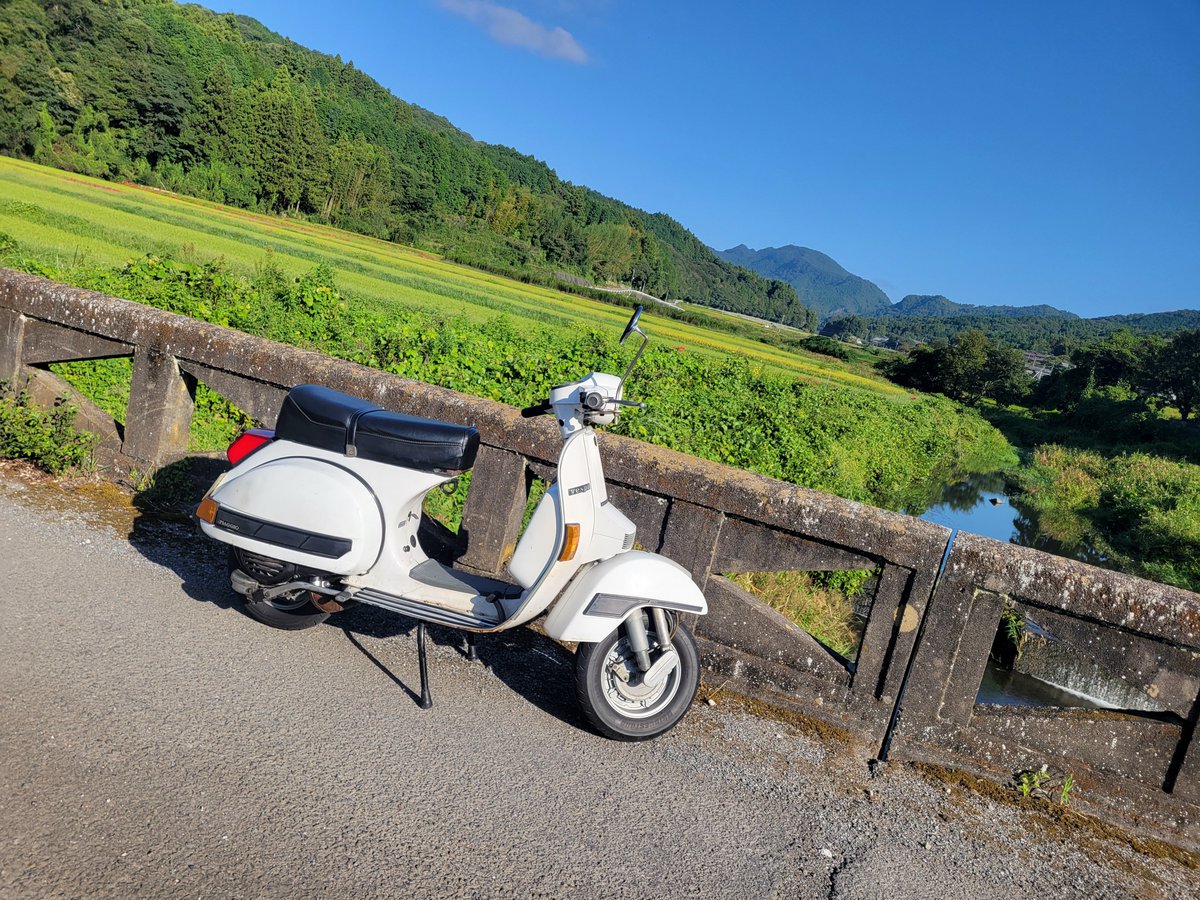 aigamo_3000's tweet photo. バイクも車もいない
鹿は5回位遭遇した https://t.co/PJpkHkpSoJ