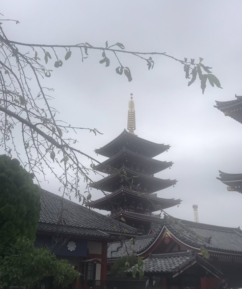 103Dryu's tweet photo. Day2
日暮里から上野公園までテクテク散策
東京国立博物館を見学して浅草へGO！
浅草は35年ぶりくらいかも
いろんな言語が飛び交い人大杉ィ！ https://t.co/6OYPZA7OL9