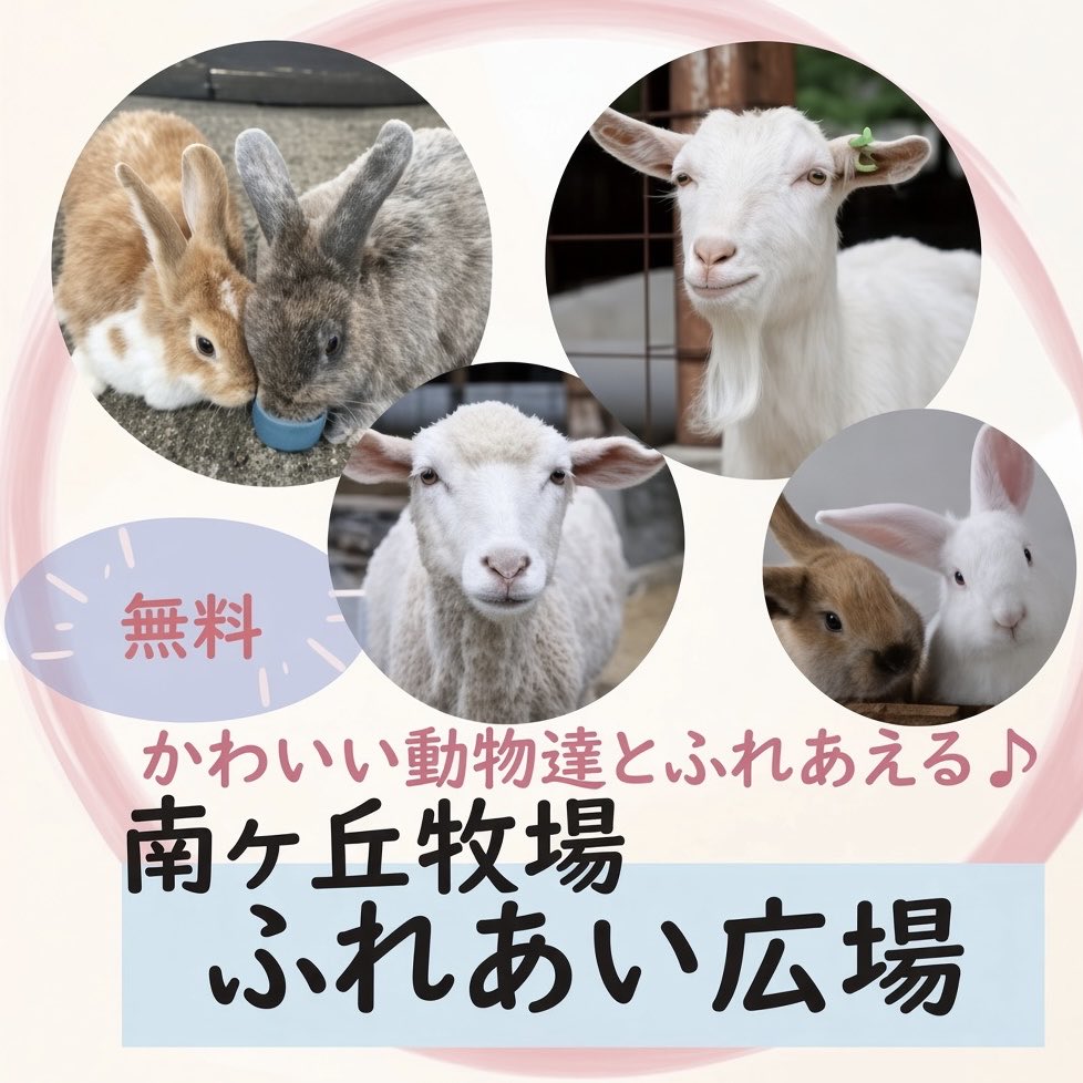 atsushi19630312's tweet photo. 【September JAM】
27日(日曜日)に開催されるアーティザンマルシェに参加します
ヤギや漫画家、ウサギやケロさんなんかと無料でふれあえる珍しい機会ですよ
ウロウロしてるので ぜひお声がけくださいね
https://t.co/gptTRWicxb
メェ〜♪
#アーティザンマルシェ
#SeptemberJAM #セプジャム https://t.co/XxwEvB9sMU