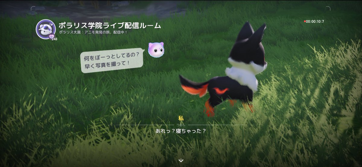 meme_SS2's tweet photo. メメモリさぼってアニモはじめました
今日リリースです https://t.co/7bjvv091rR