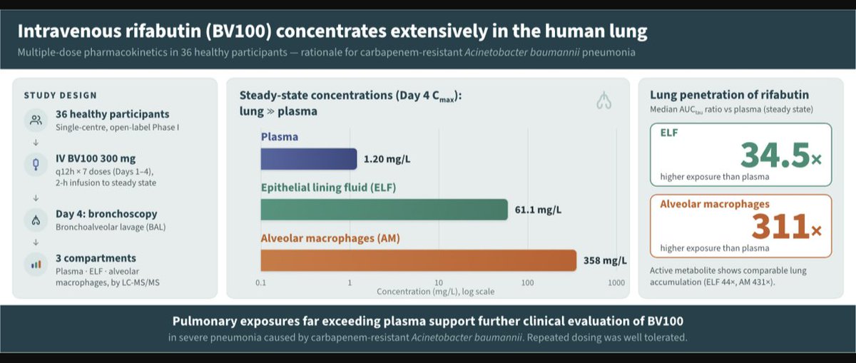 ABsteward's tweet photo. 💥Very interesting!!👀
An exiting option for CRAB!
Intravenous rifabutin (BV100) achieves pulmonary exposures substantially exceeding plasma concentrations, providing a strong pharmacological rationale for further clinical evaluation of BV100 in severe CRAB pneumonia
💥First human data on lung penetration of IV rifabutin (BV100).
•Lung exposures exceed plasma 35-fold (ELF) and 311-fold (alveolar macrophages).
•Active metabolite25-O-deacetyl-rifabutin shows similar lung accumulation #idxposts
https://t.co/Qjv7K6Kpot