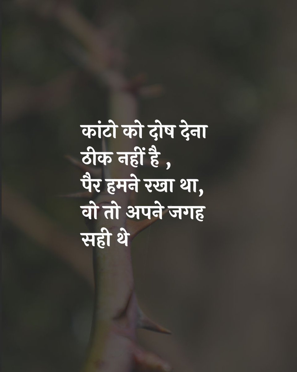 path_gami's tweet photo. कांटों को दोष देना ठीक नहीं है 
पैर हमने रखा था वो तो अपनी जगह सही थे . . https://t.co/tAouSqAP7M