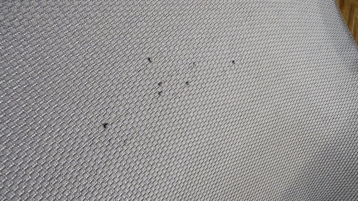 iced_vi's tweet photo. 新しい椅子届いたら秒で爪研ぎされた😭😭 https://t.co/7zqJAQPU2V
