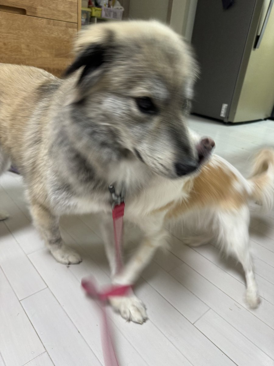 NRG_YB's tweet photo. 코 크기 차이봐 ㅋㅋ https://t.co/f8ZH0EGYYF