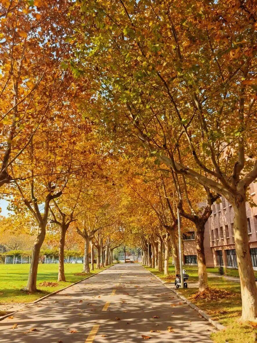 SorayaShervqrf's tweet photo. Bittersweet final walk across campus today — memories that’ll stick with me forever. https://t.co/vdCkcwboye