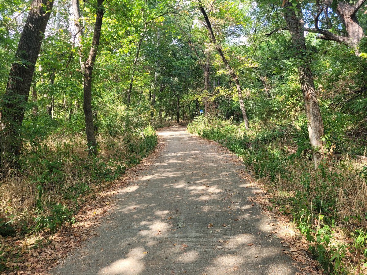 piano_player97's tweet photo. Breckenridge Park, Plano, Texas. Photo taken by me on September 18th, 2026. #nature #texas #trees #park #photography #woodedarea https://t.co/oU37EeLmm3