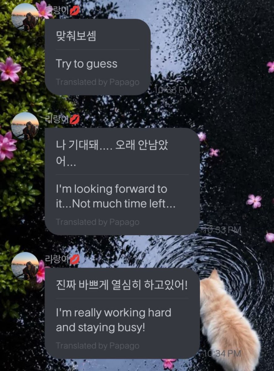 tiger_xin_news's tweet photo. #update #fromm(22.09.26)~

🐯~ Did you see the concept photos?hahaha. Are you curious about the release sequence this time? haha. Nope, I'm not telling you./ Yeah, I'm not saying anything. Try guessing/ Take a guess. I'm excited.... There's not much time left... https://t.co/BZWO9CghJc