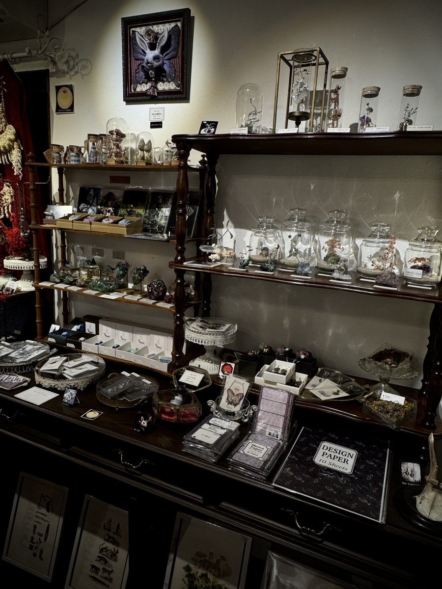 Guignolinfo's tweet photo. #夜の博物館展 お休みあけて本日より再開です🕯️

追加入荷作品も届いており、少し配置換え等もいたしました。
皆様のお越しをお待ちしております！ https://t.co/8jjdHnfZR2