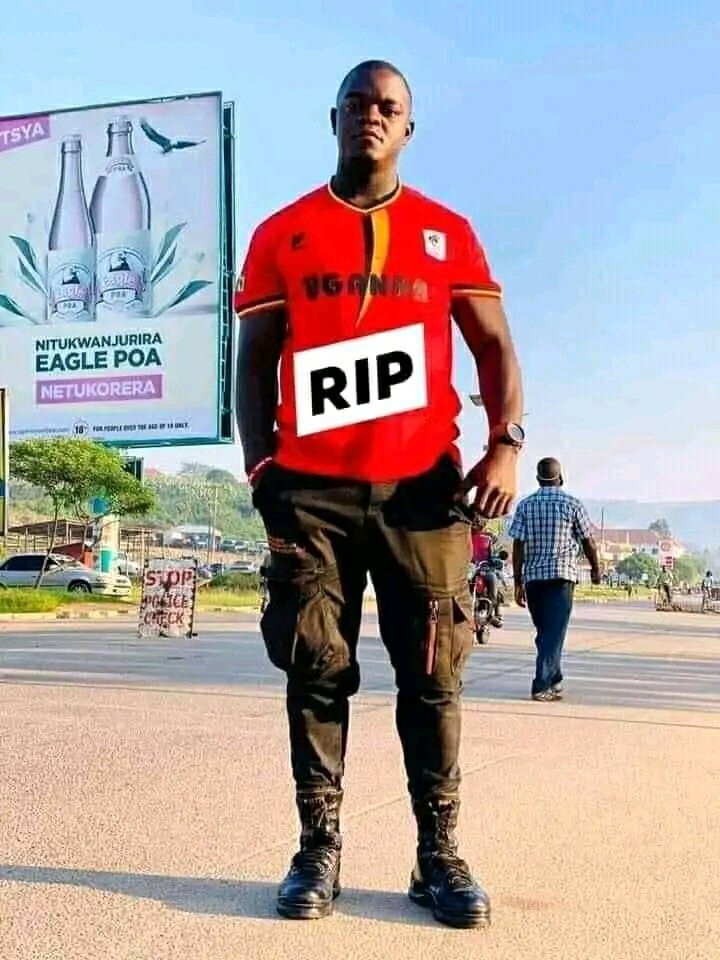 BadruSelectorxx's tweet photo. Our fallen soldier your blood is still watering the seed of revolution https://t.co/tnHDEqpXBo