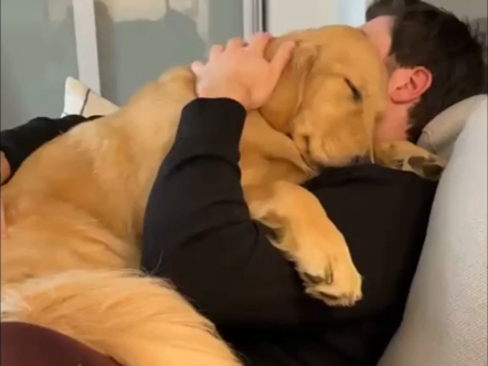 FranciscoCzp92's tweet photo. Spent the whole evening cuddling with my pup—no plans, just warm fur and slow breaths. This is the kind of quiet joy that makes every day better! https://t.co/416CDXTDKj