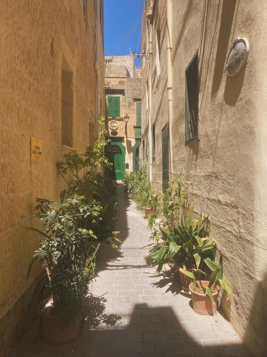AngelinePokimm's tweet photo. #malta https://t.co/Yc6VsotChv