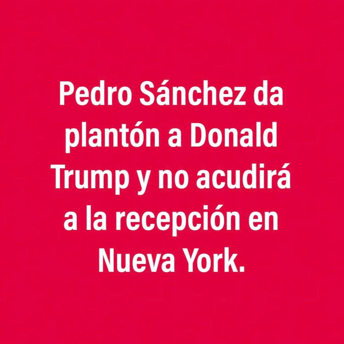 PlazaPorta48891's tweet photo. Me parece estupendo,uno tiene que ser coherente con lo que dice y lo que hace.Magnífico Pedro.Bien hecho,,,,,te votaré siempre 🌹🌹🌹🌹🌹🌹🌹👁 https://t.co/eDnuwArE4J