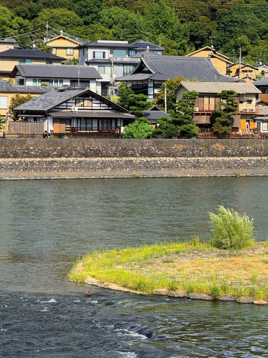 Stevexose's tweet photo. 宇治を散策してきました✨ 
穏やかな宇治川と緑の山々、古民家が並ぶ景色がとても癒されます。 中村藤吉さんで濃厚な抹茶ドリンクと抹茶デザートを食べました🍵 
抹茶スイーツの中で一番好きなものは何ですか？ https://t.co/XANCfRWiFC