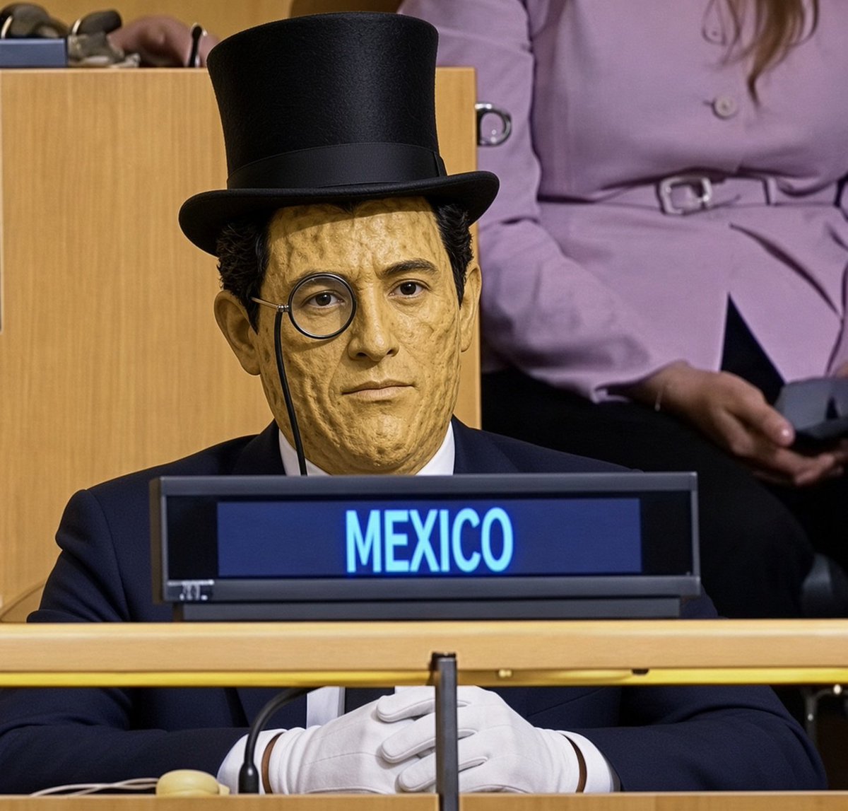 PFifiona's tweet photo. "No se preocupen, México está bien representado en la ONU..." 🤦‍♀️ https://t.co/sw9gY8UeIj
