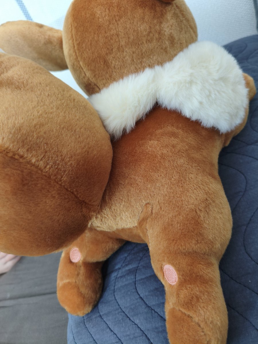 ganerd64bit's tweet photo. イーブイのぬいぐるみ買ったんだが...お前その位置に肉球あるのおかしくないか？

流石にミスか....？
有識者求む！🫠 https://t.co/ltjpGL84ac