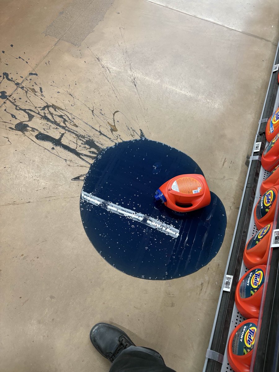KalynMonarch's tweet photo. tragic sight at my workplace a few days ago https://t.co/M2CdQa576H