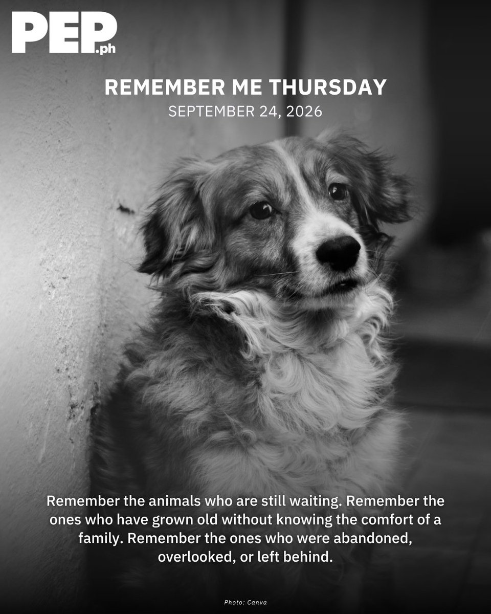 PEPalerts's tweet photo. THEY ONLY HAVE US FOR A LITTLE WHILE. 🐾

Every pet deserves a forever home, because their lives are already far too short. For us, they may be a chapter of our lives. But to them, we are their whole world. 

#RememberMeThursday #AdoptDontShop #PEPInspires #PEPSocial #PEPAly https://t.co/UO47xJe9vh