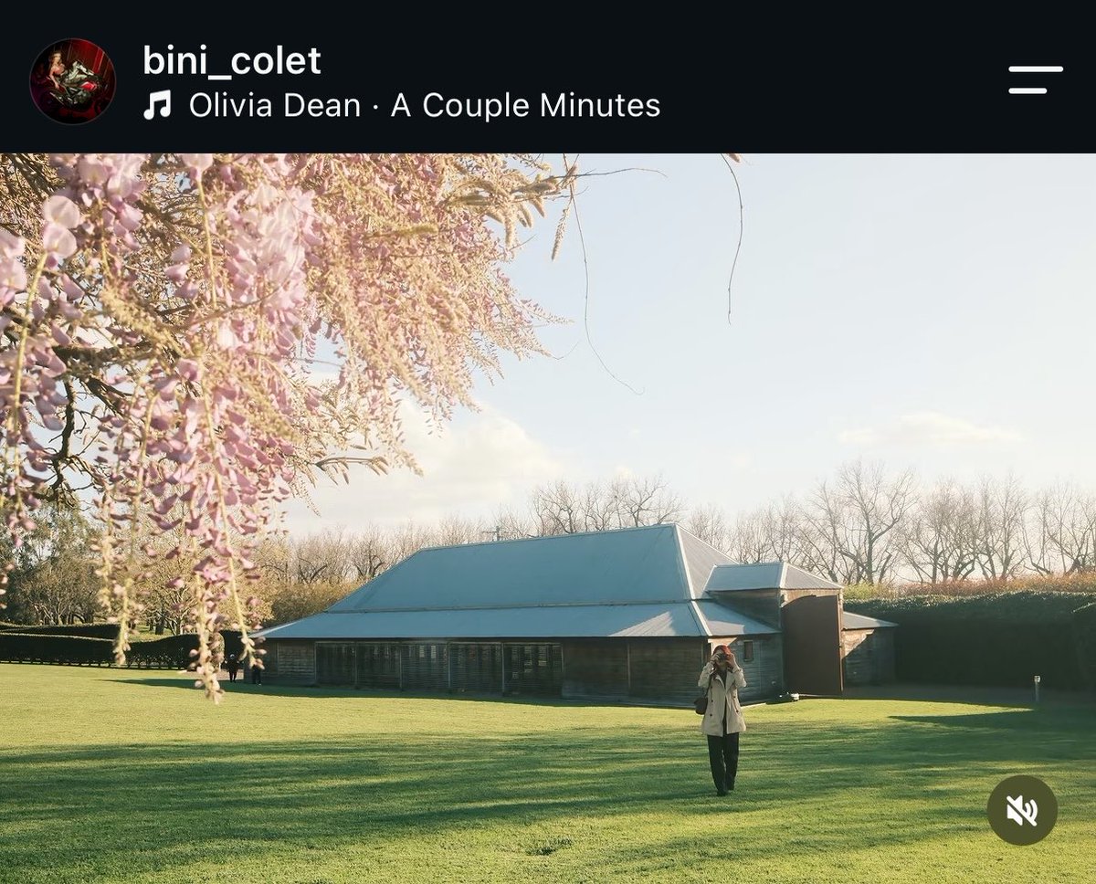 Bini_Mix tweet picture
