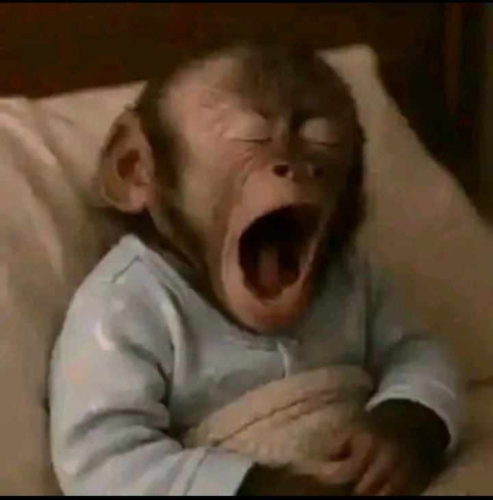 B_boy058's tweet photo. Early birds we already up. Good morning ladies and gentlemen https://t.co/9hyQbGl0tT