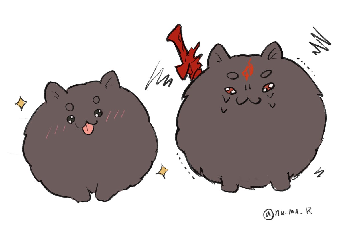 nu_ma_R's tweet photo. いぬのきもちねこのきもち
#svsss https://t.co/Y68xhGgSQV
