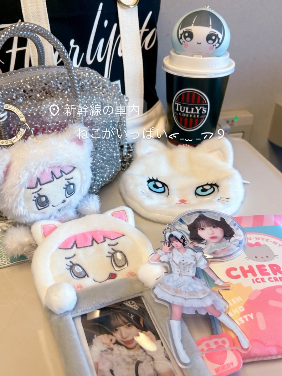 ice35nya__'s tweet photo. ただでさえ持ち物ねこだらけだったうえに名古屋のサンリオで星のケース買ってたら衣装もねこちゃんでめっちゃ嬉しかったのi ꒳ i🤍 #あいすを愛す https://t.co/wosP4RqHkh