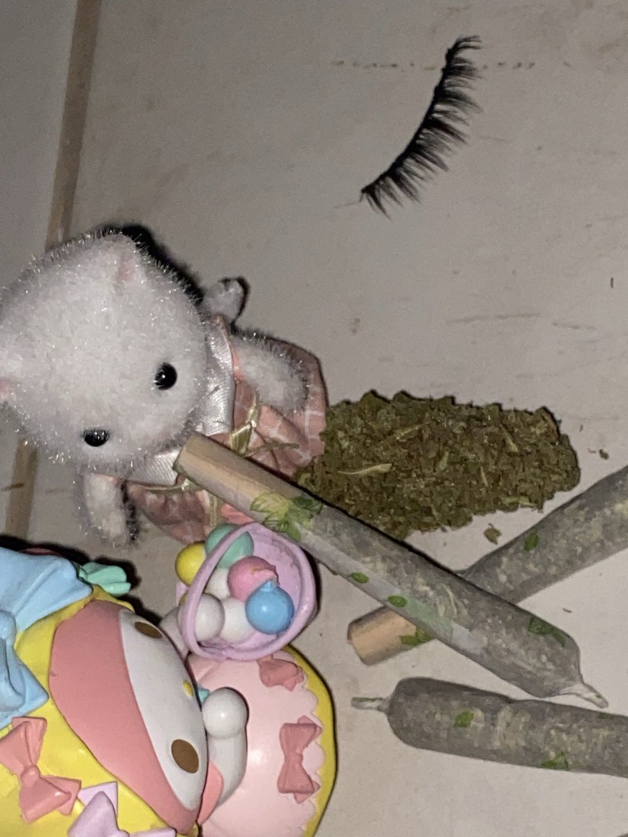 prttyhachi's tweet photo. A alguien más le dan brotes psicóticos x la mota? #drugtwt #drugstwt 
Mota= hola diavlo 
Criko=hola https://t.co/GxP29LWBpD
