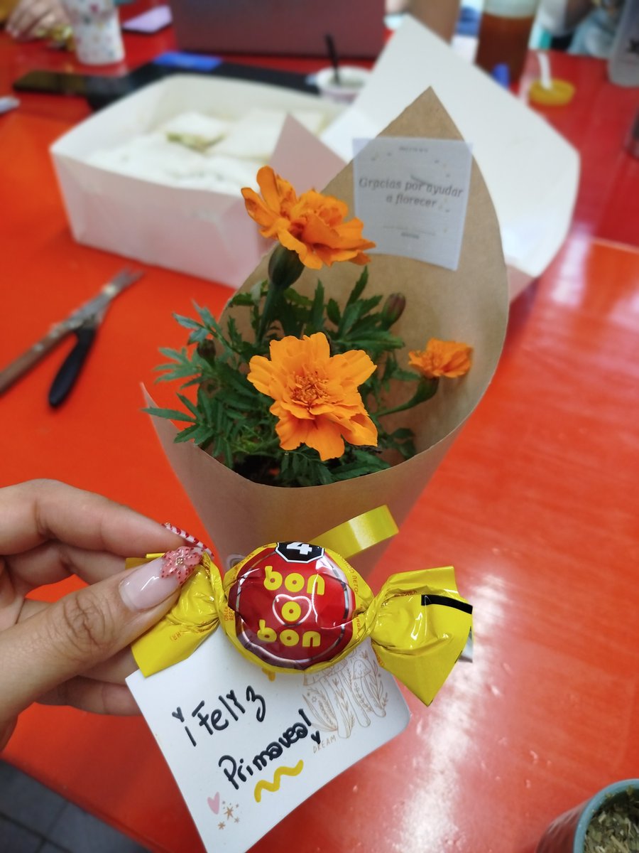 LuuzBazan's tweet photo. Lo último que se pierde es la fé💛🥹 https://t.co/IUGHoRf2SF