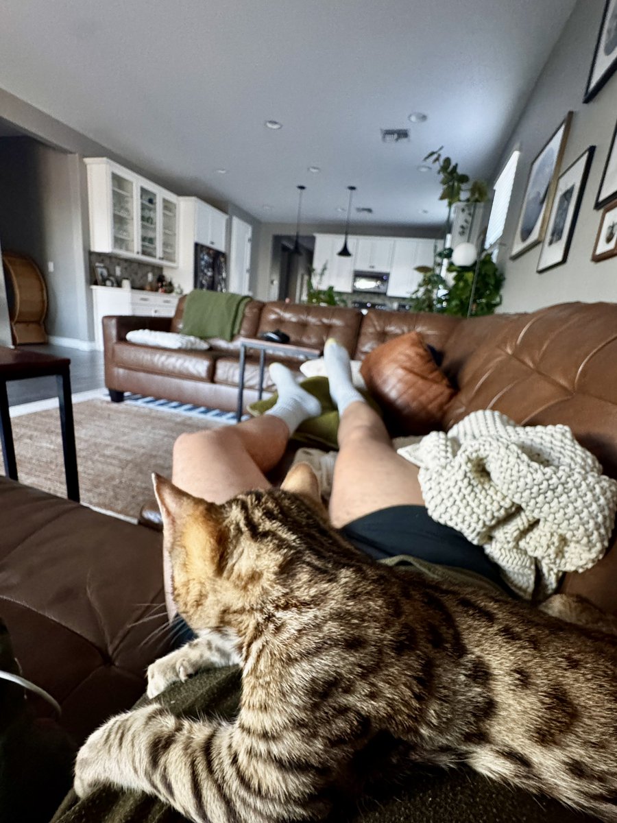 mxpabzntn's tweet photo. Chilling w/ Carl the bengal from Lykos https://t.co/kn9Cx5GsY2