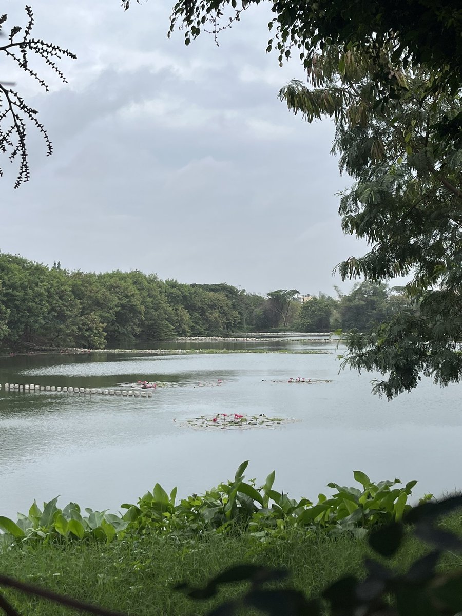 thaythaythayy's tweet photo. went for a run after 7 weeks! #tfar https://t.co/aSUl1PMqiX