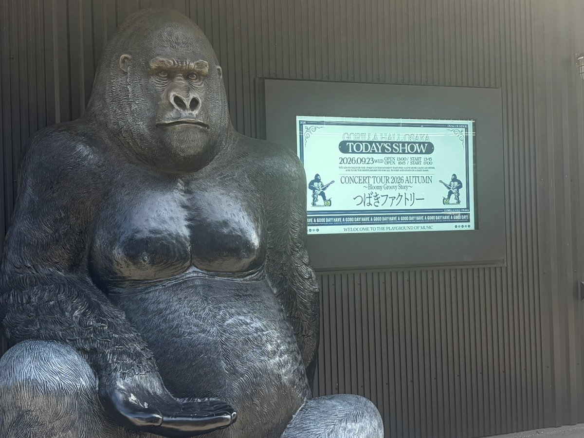 Nikugari0813's tweet photo. 生バンを感じたくて初めてつばきファクトリーのライブに来てる
GORILLA HALL OSAKA想像以上にゴリラで最高かも https://t.co/Ugq3cVsPOj