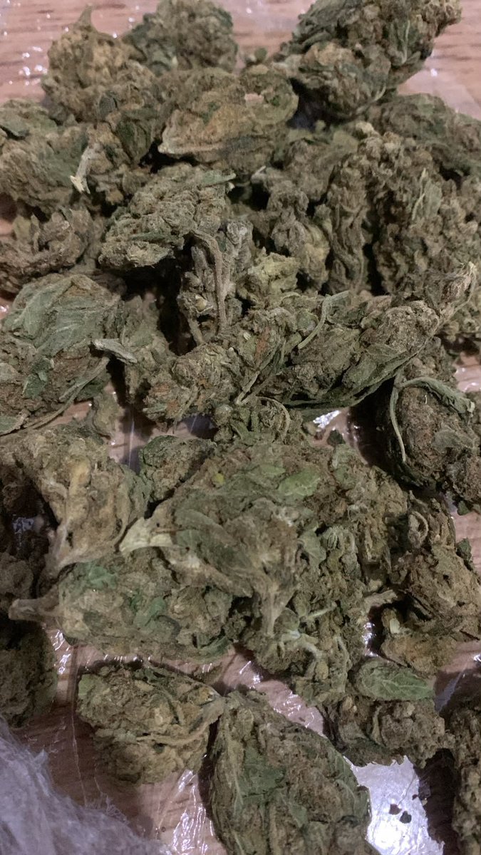 Scooby710cream's tweet photo. Amnésia em são Paulo e região Disponível.
Entregas Rápidas e Discretas 🛵
Frete 35,00 🚀

#saopaulo #spmaconha #floremsp #maconhaemsl #maconhaemsaopaulo #delivery #drugs #canmabis #prensadosp https://t.co/Gmdf0Vf7Om