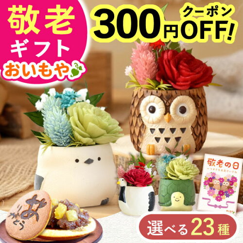 FashionBroadC's tweet photo. #PR｜きょうのおすすめだよ。値段やクーポンは変わるから、リンク先で見てみてね

花 人気 プリザーブドフラワー アレンジメント 動物 ふくろう シマエナガ 犬…
￥2,998 ★4.4(1136件)

https://t.co/tPozwOgimM

※楽天アフィリエイトを利用しています
ありがとうございます
#楽天 #スイーツ https://t.co/aw1noJNRdb