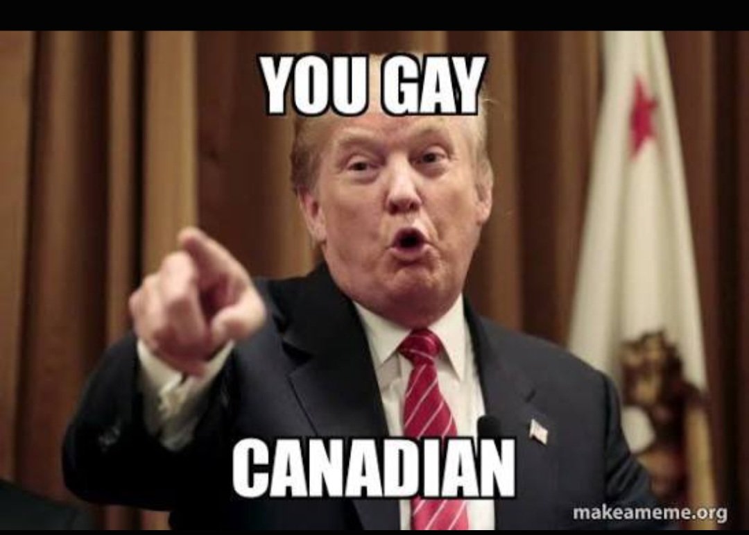 TangoBreeze's tweet photo. @CelticAshes We run em over in florida.

Thats why they dont do this.

Gay canadians are just too gay for this. https://t.co/F5hhLuDt6c