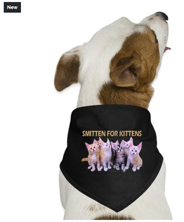 Keybord's tweet photo. Smitten for Kittens! #shop #design #fashion
#petBandanas #bandana #tshirts #sportswear4all
#posters #mugs #bottles #magnets #stickers #pets #dogs #cats #babyclothes #customizedgifts
https://t.co/Td7lMQqrdz https://t.co/nHUy5BYAbK