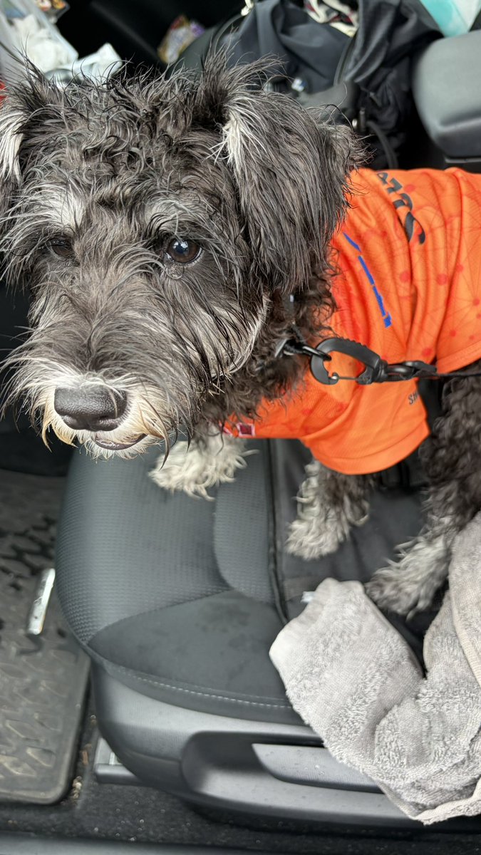 isk818's tweet photo. ユニ着せて連れてきたかった三保🍊
雨だったけど強行したらドロドロ😂😂
犬連れはみんなカートの中で天上犬でした
#spulse #三保活 https://t.co/AnVPlmzF5E