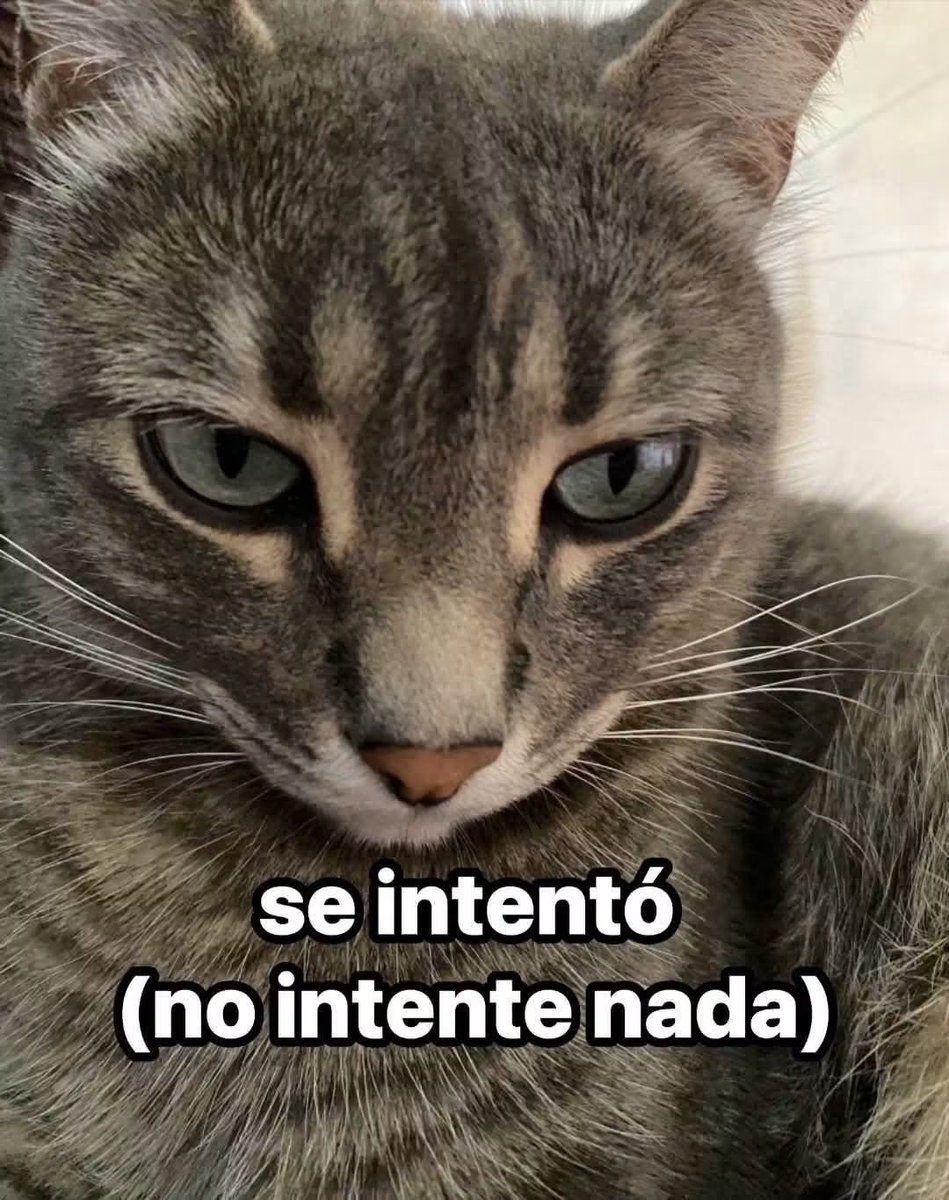 DiloConGatitoz's tweet photo. Y que sea lo que Dios quiera. https://t.co/54FRkNlJZF