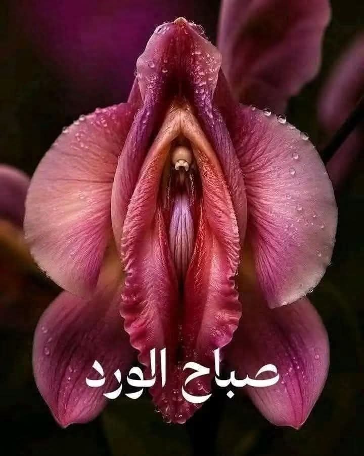 6M04dzNcMSlPgFE's tweet photo. صباح الورد والفل https://t.co/vpux3mH1rw