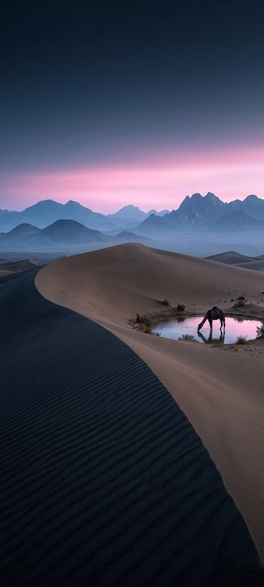 DesertAndPeaks's tweet photo. Silence in the dunes, magic in the sky. 🐪💧
A lone soul drinking peace at dawn.
Where the sand meets the mountains and the pink sky.
No noise, no rush, just pure calm.
Desert dreams feel like this. https://t.co/CtqUPRdZhp